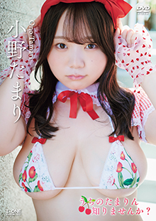 小野 たまり うちのたまりん知りませんか？